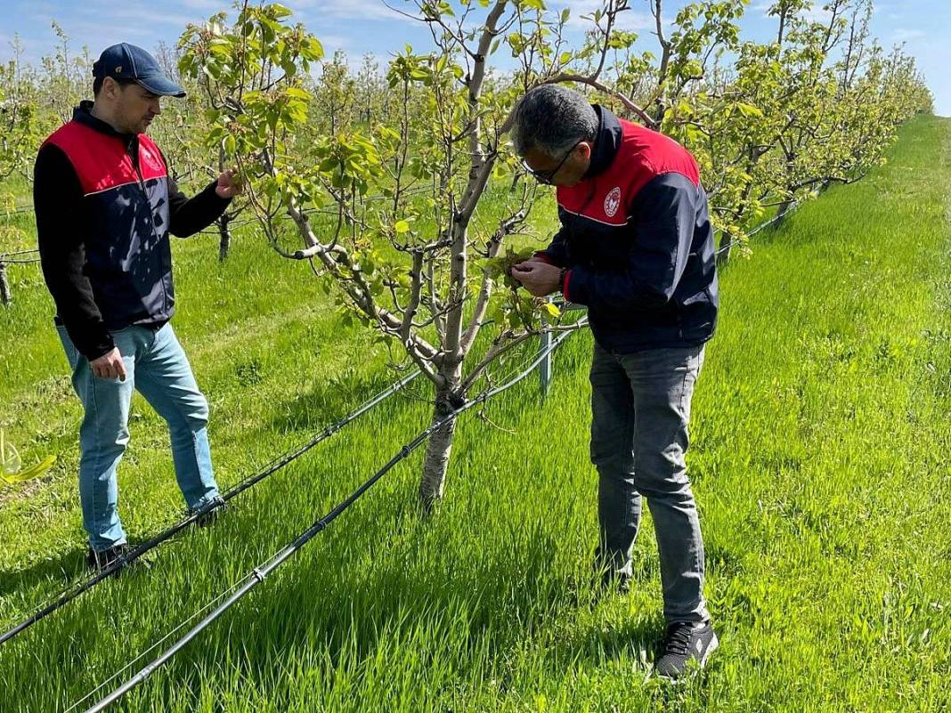Tarımda tarihin en büyük felaketi yaşanıyor! Meyve, sebze fiyatlarında rekor artış yaşanacak 31